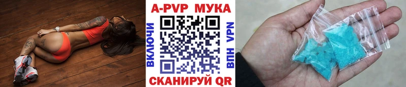 Альфа ПВП СК КРИС Кириши