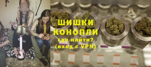 дмт Алзамай