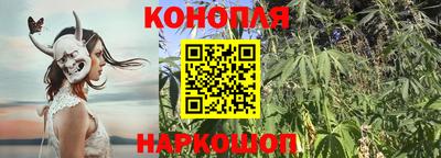 гидропоника Краснокаменск