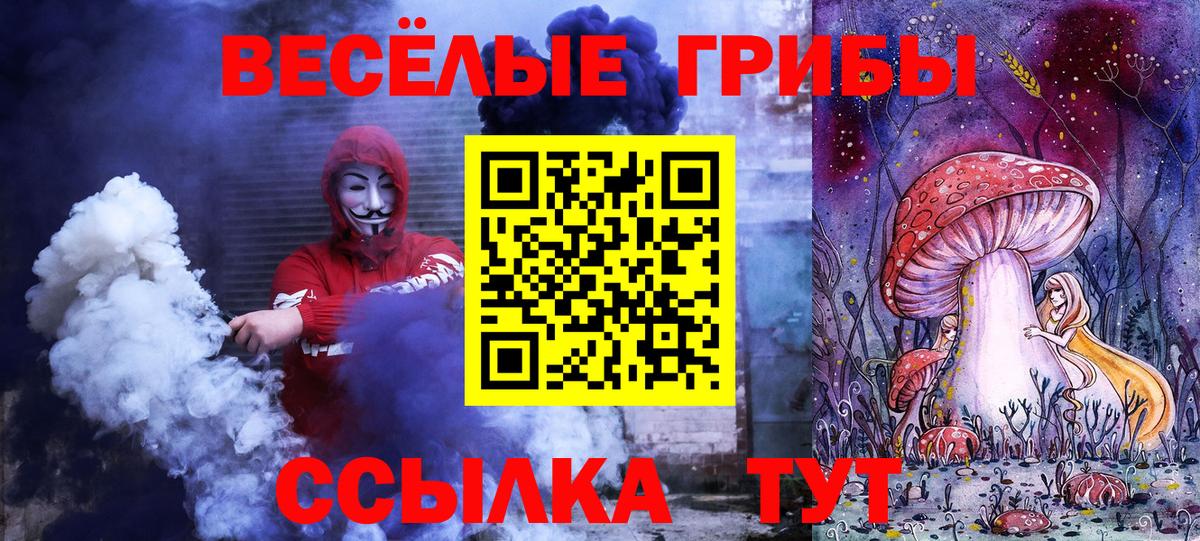 Кириши  Псилоцибиновые грибы ЛСД  Галлюциногенные грибы MAGIC MUSHROOMS  Вход с VPN 