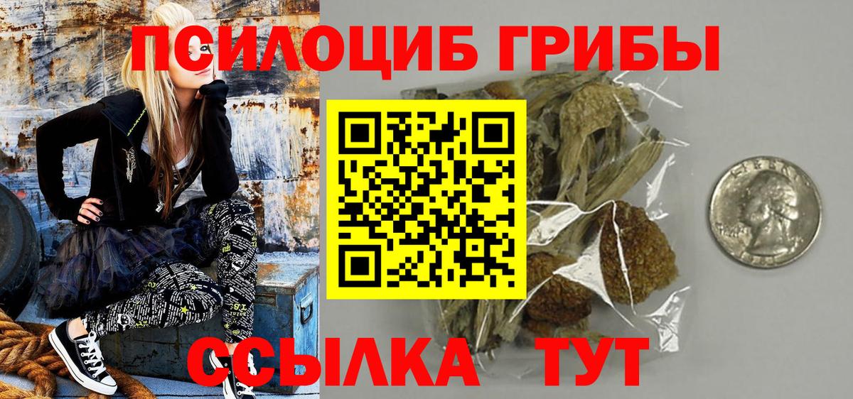 Галлюциногенные грибы Cubensis Кириши